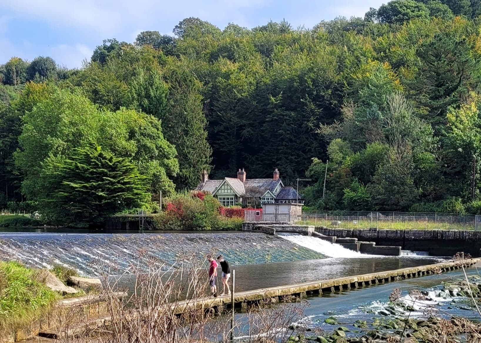 Guided Walk on Tamara Way with Lucy Daniel Guide