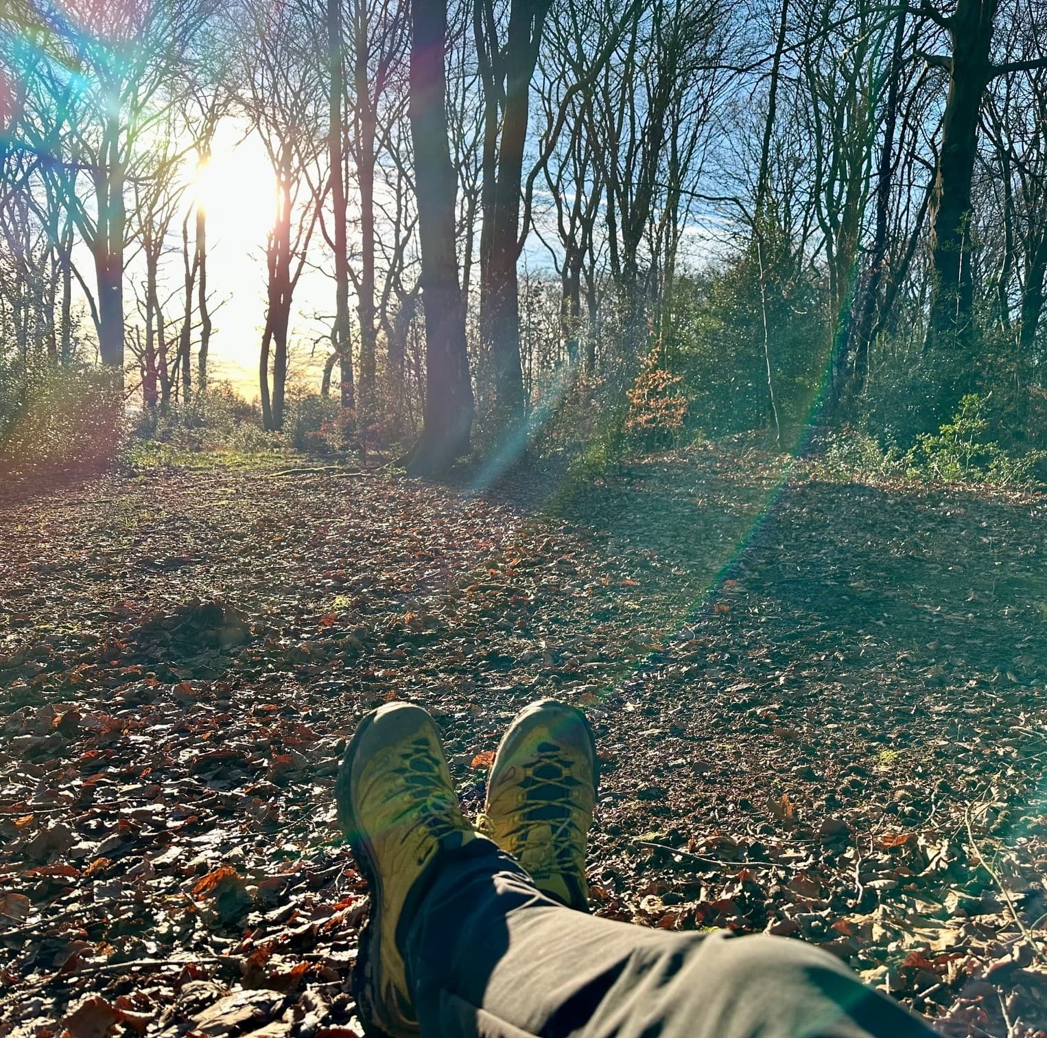 Schulenberger Wald Sense Walk: Guided 3.5-Hour Sensory Hike Near Hattingen