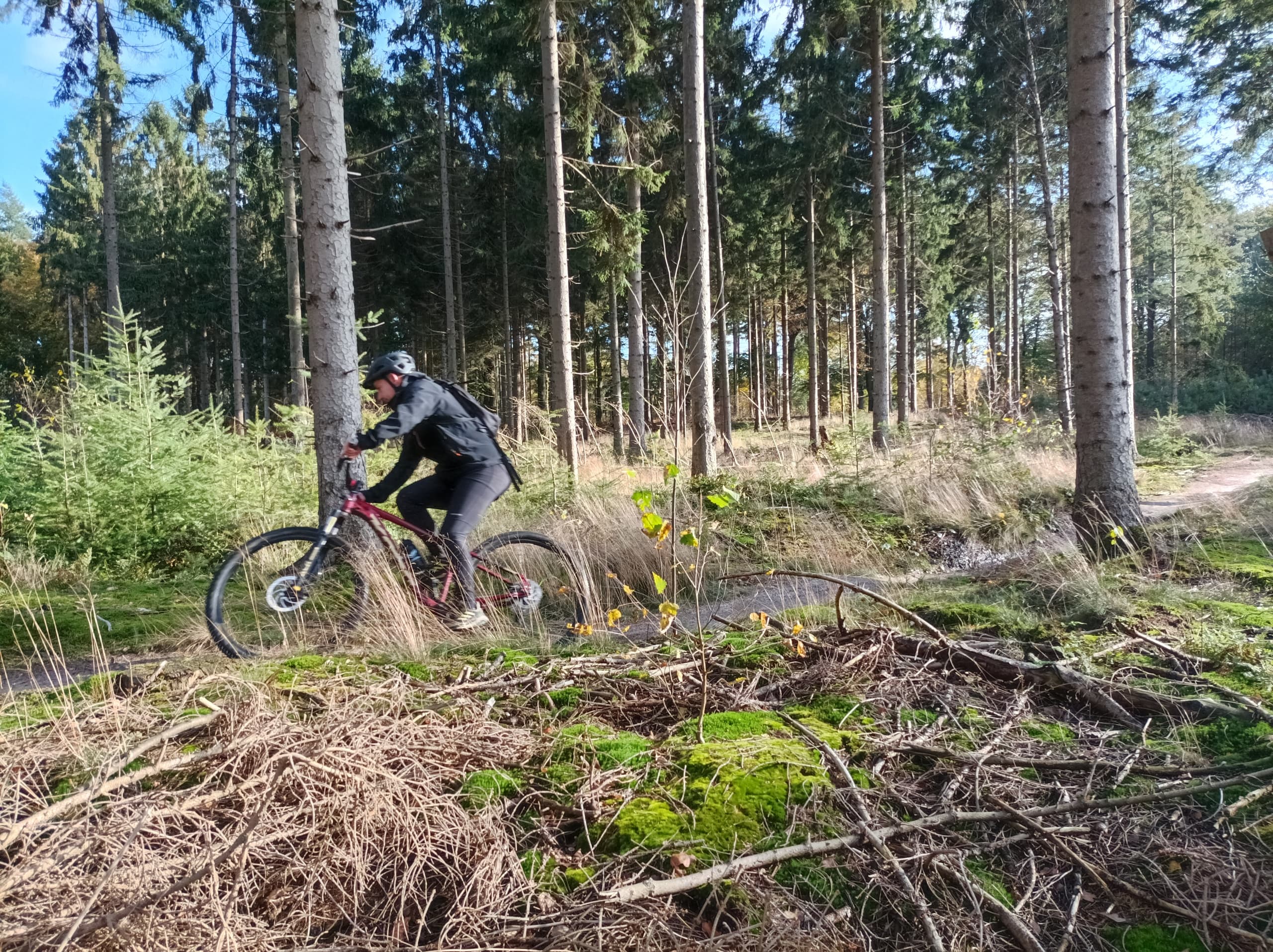 Mountain Biking at Lage Vuursche Rental Hub