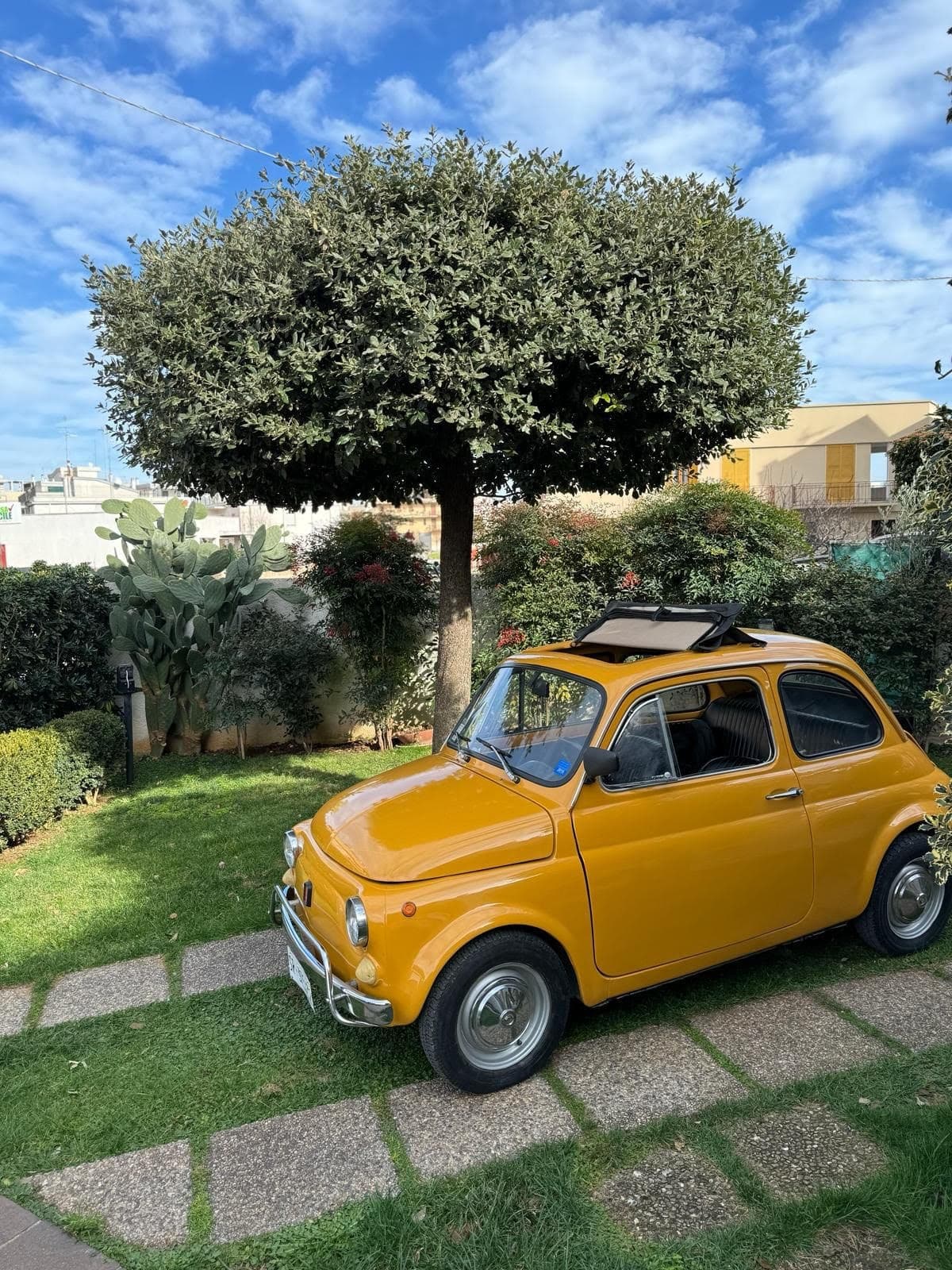 Explore Polignano a Mare Aboard Classic Fiat 500s: A Vintage Italian Adventure