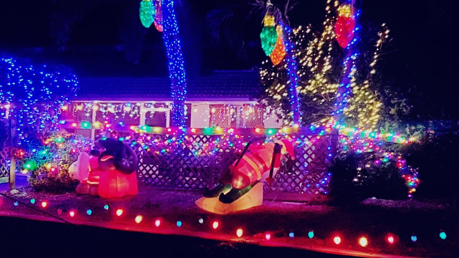 Holiday Tiki Boat Cruises with Punta Gorda Adventures