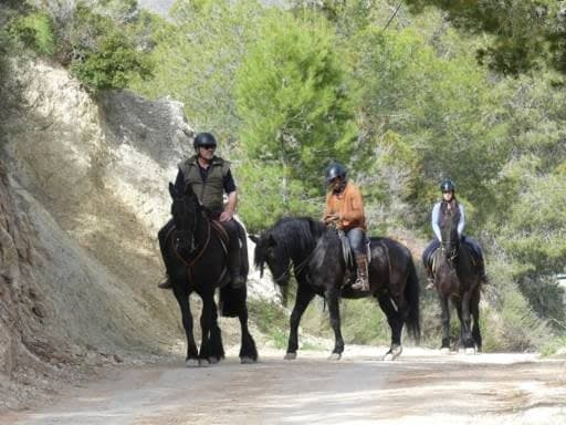 Horseback Riding in Finestrat with Alicante Aventura