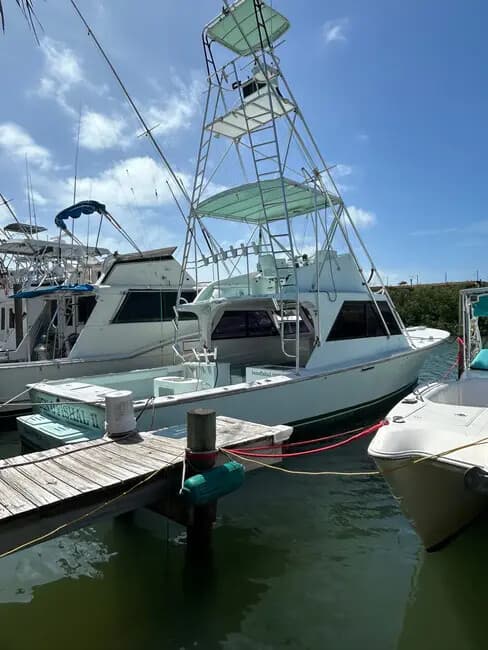 Key Colony Beach Offshore Wreck & Reef Fishing with 39-Footer Charters photo 2