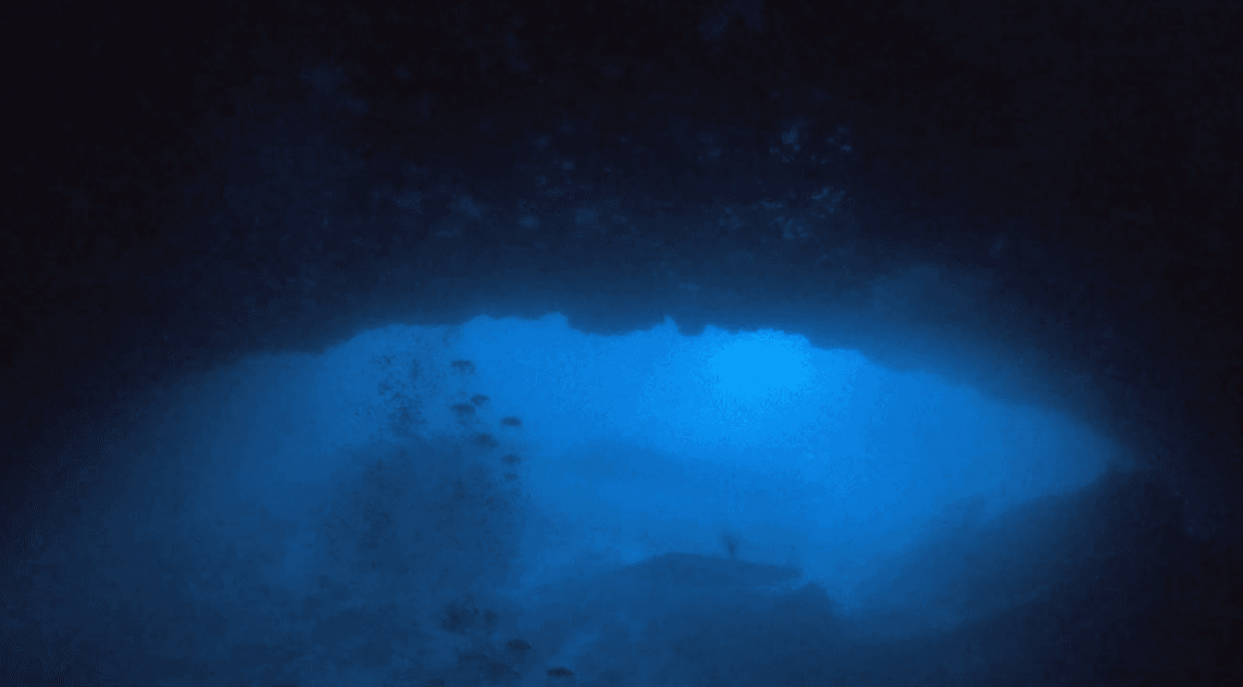 Blue Grotto Two-Tank Dive: Williston’s Cool-Water Underwater Rock Gardens photo 4