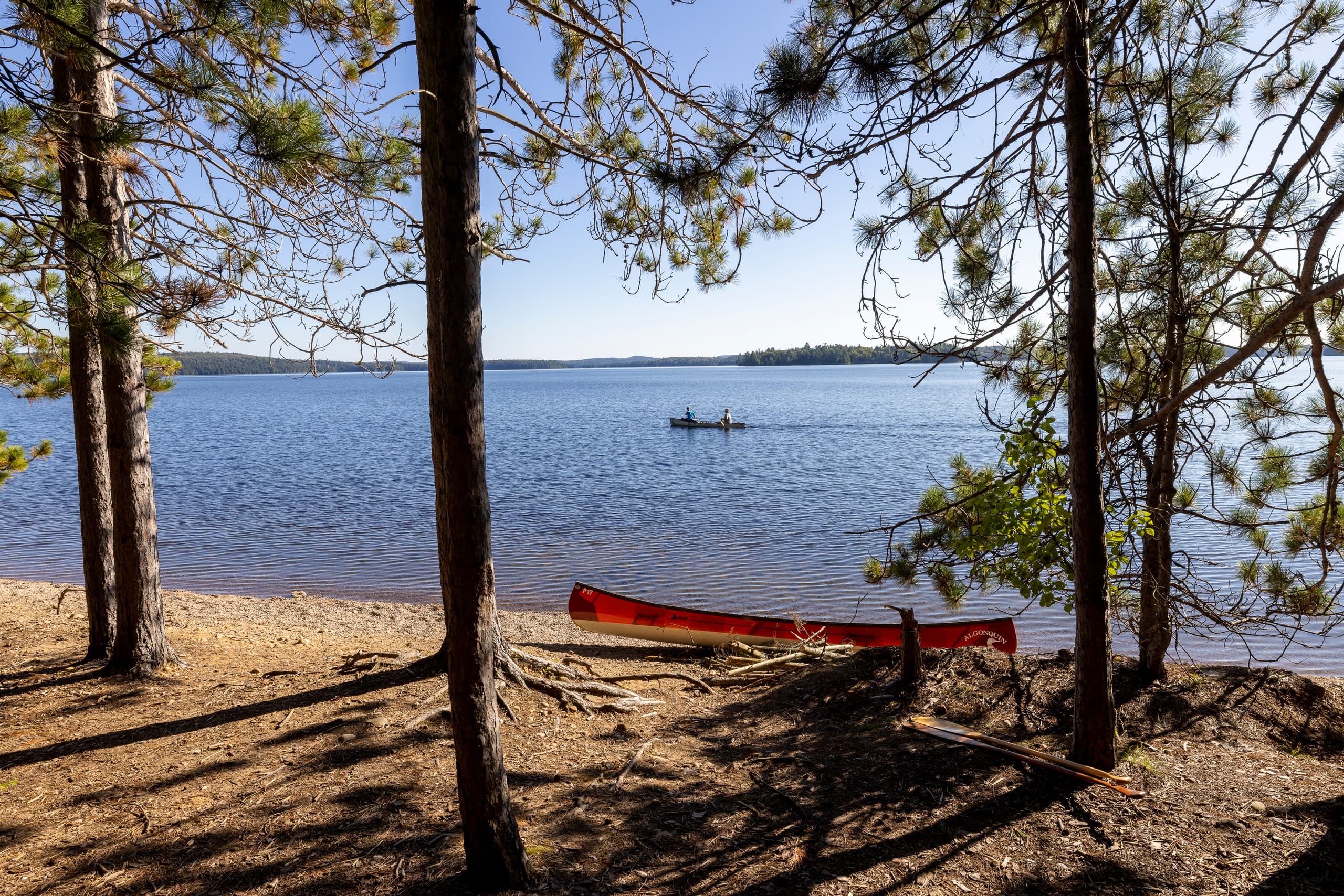 Canoe Wilderness Adventure with Algonquin Outfitters in Algonquin Park