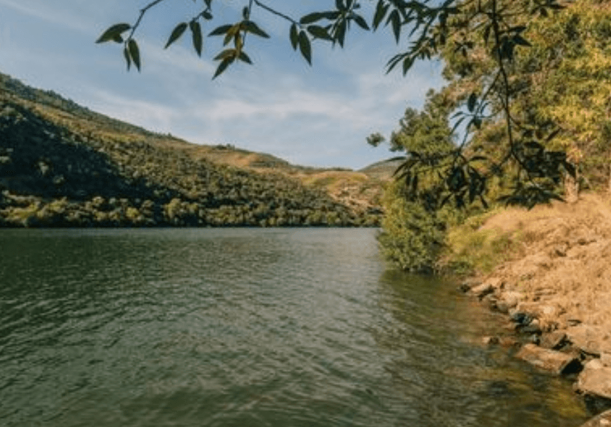 River lake framed by trees offering scenic waterway vista