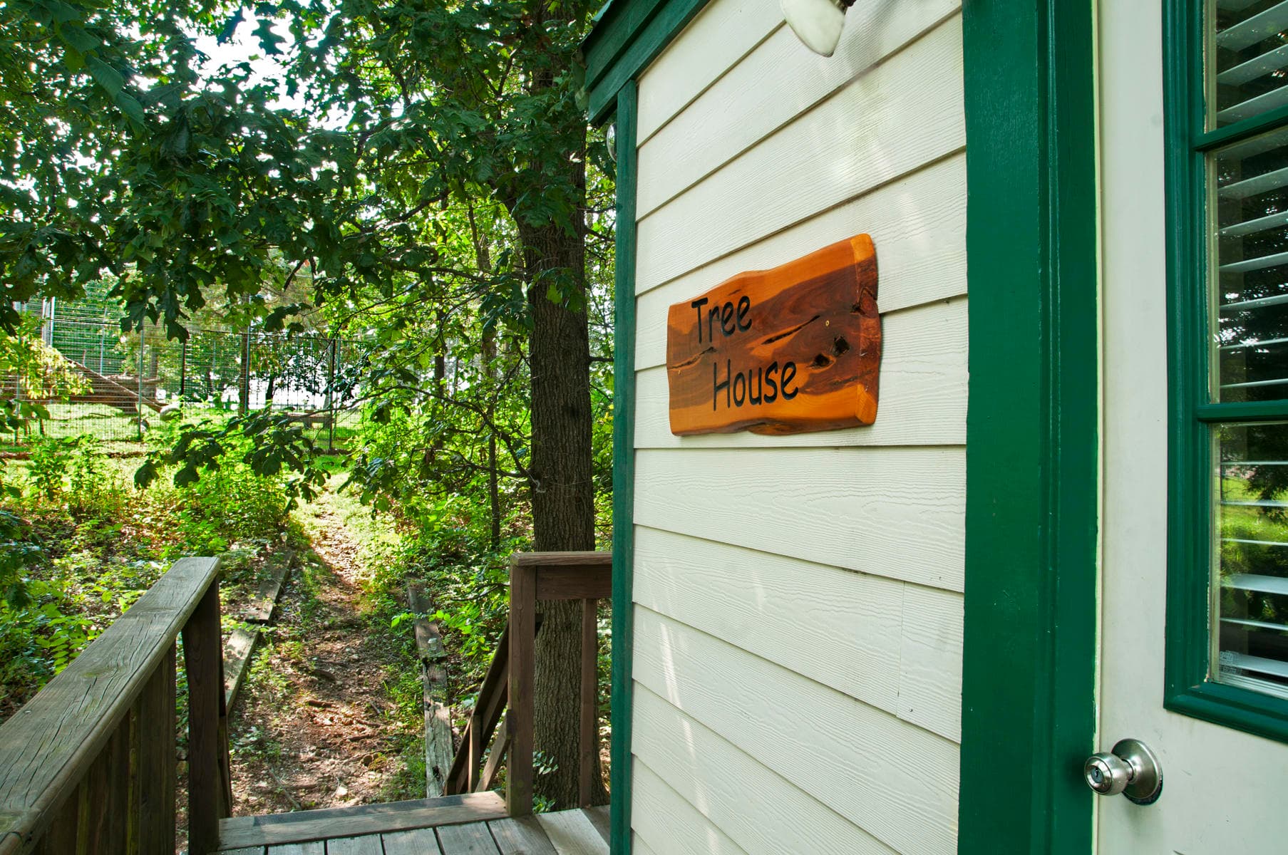 Tree House Bungalow Stay at Turpentine Creek Wildlife Refuge