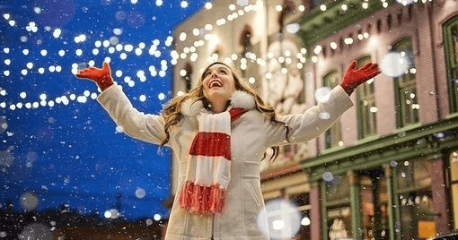 Magical Christmas Lights Tour in Ottawa, Ontario