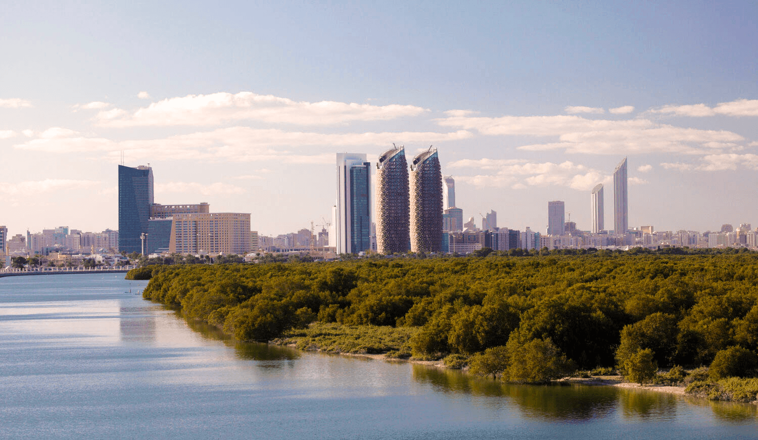 Riverfront mangroves leading to urban skyline along bay