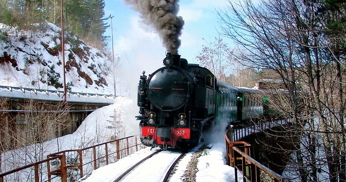 Cultural Train Adventure with Treno della Sila in Calabria