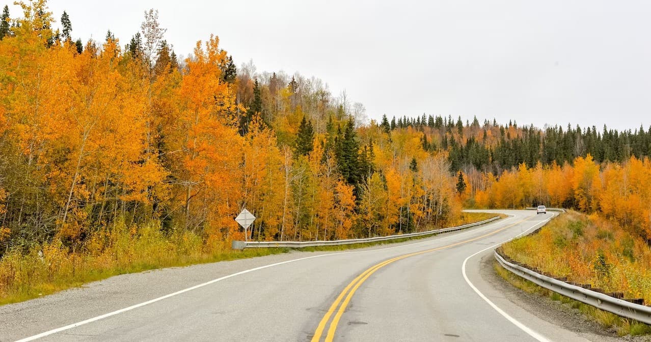 Winding autumn highway through Alaskan forest for scenic driving