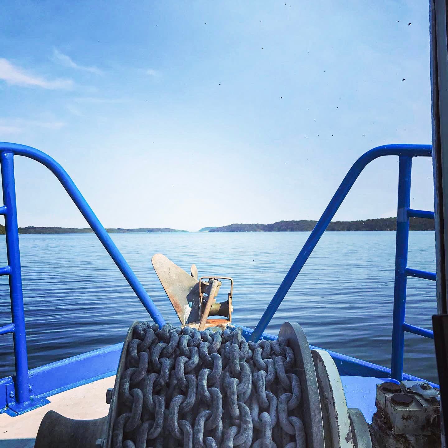 Explore Stewart Island: Full Day Scenic & Wildlife Cruise Around Paterson Inlet