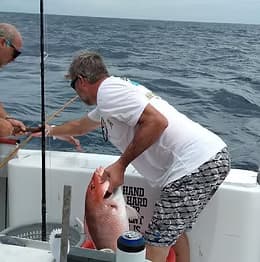 Angler hauling large red snapper aboard offshore fishing boat