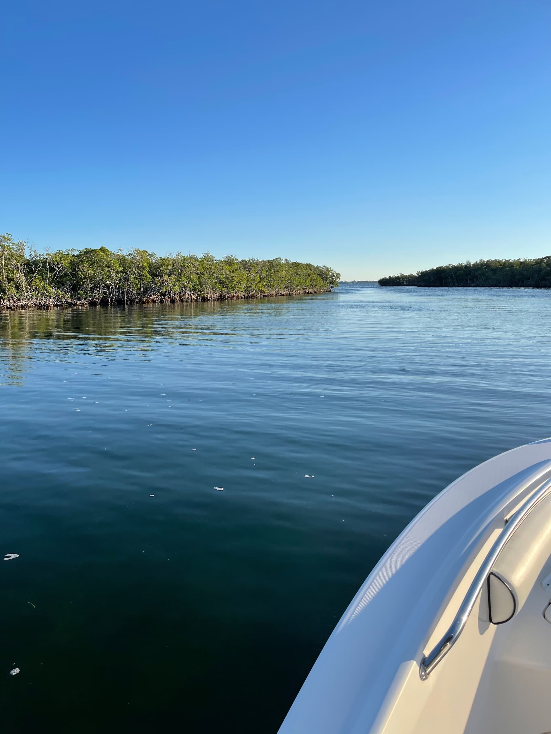 Explore Florida Keys Bayside: Custom 2-Hour Paddleboard, Kayak & Mangrove Adventures