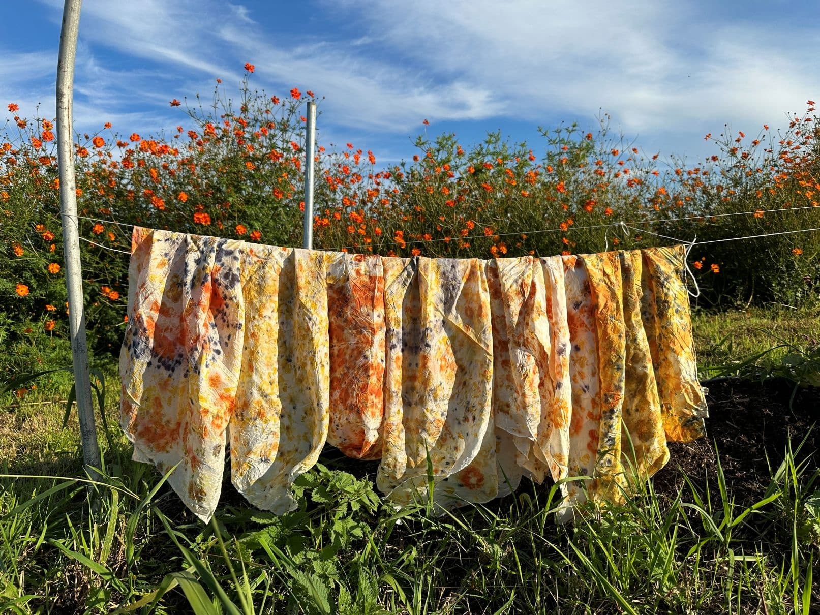 Land Adventures at Raven Rock Farm: Botanical Printing Workshop