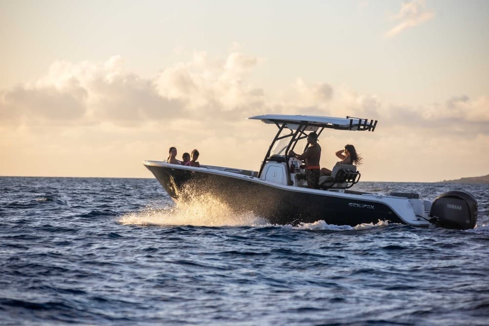 Sunset Cruise with Holoholo Kai Charters on Hawaii's Big Island