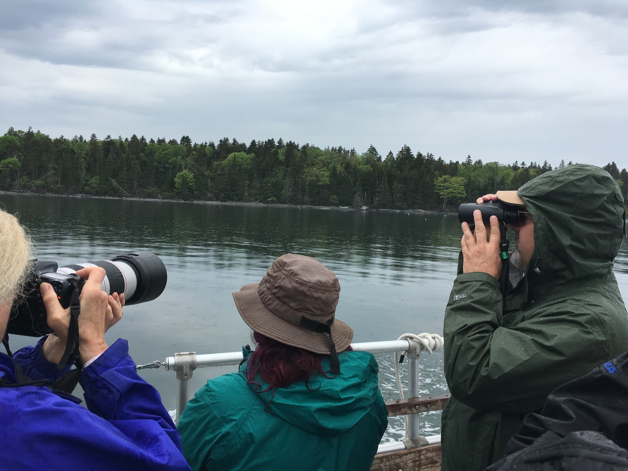 Birdwatching & Boat Tour with Seacoast Coast Tours of Freeport