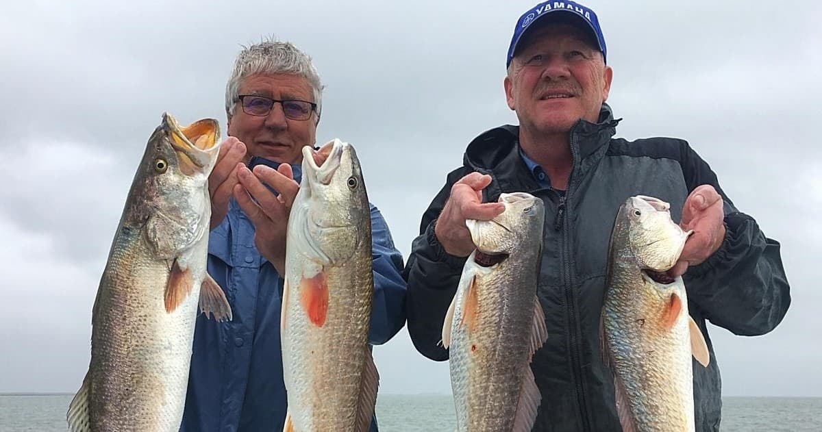 Half-Day Inshore Fishing on South Padre Island with Captain Dave Edwards