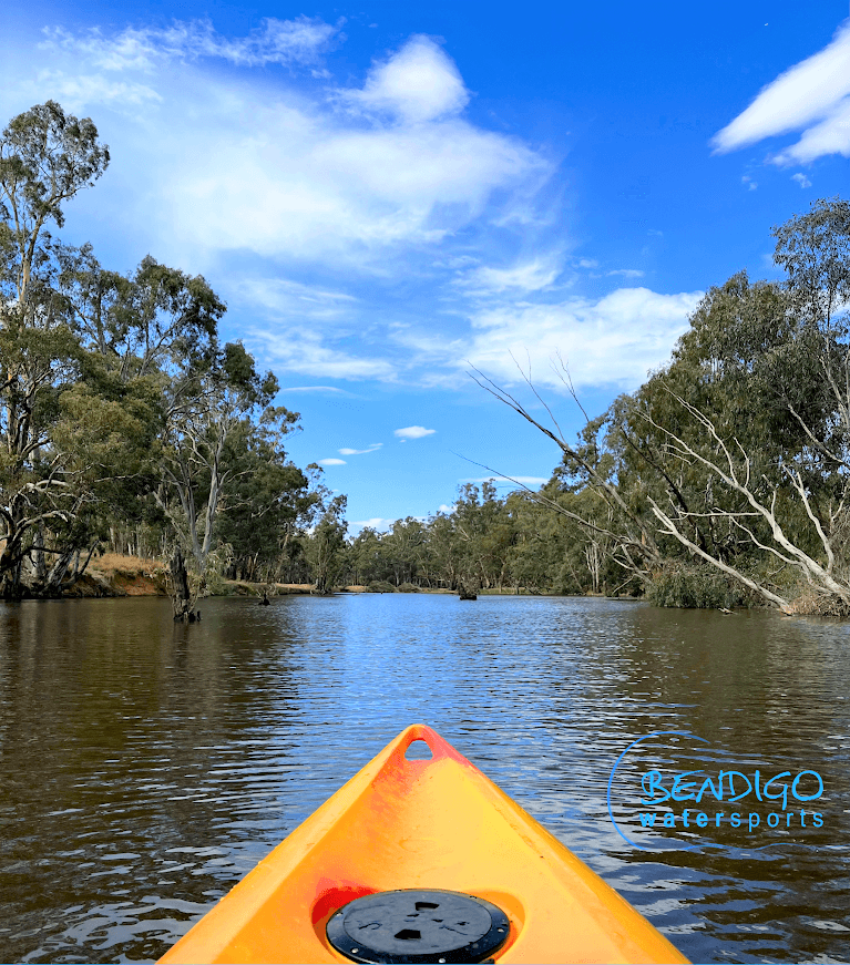 Kayak paddling on calm river through eucalyptus-lined Australian bush