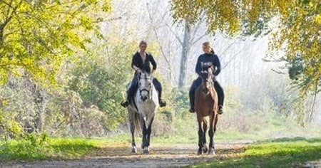 Horseback Riding Adventures in Chianti Tuscany