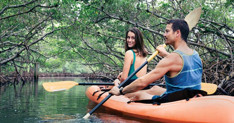 Couple kayaking through mangrove waterways, exploring estuary