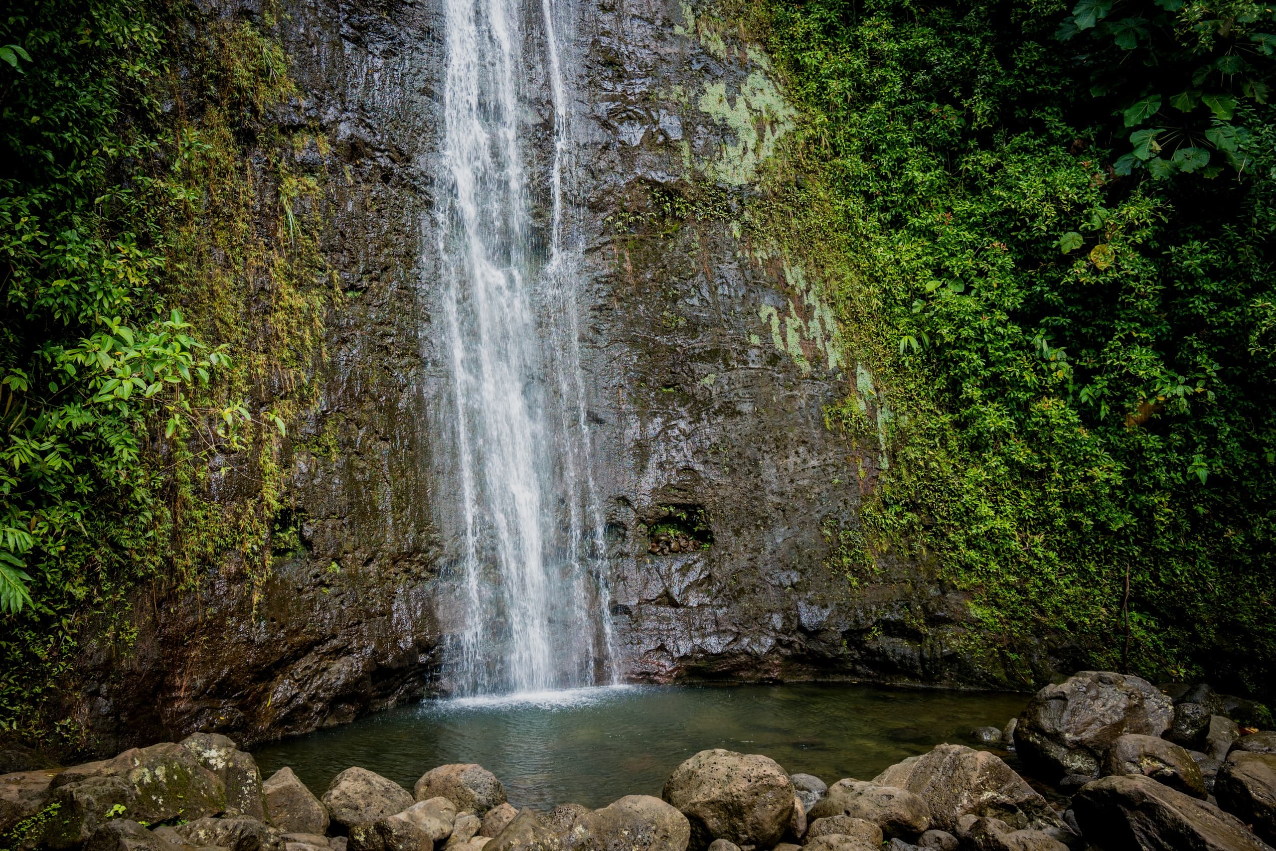 Tropical waterfall cascading into pool in lush Hawaiian rainforest