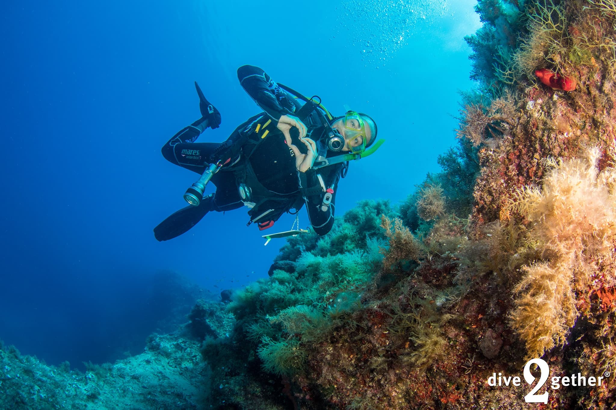 Shore Dives in Plakias: Two Guided Dives Through Crete's Rocky Gorges