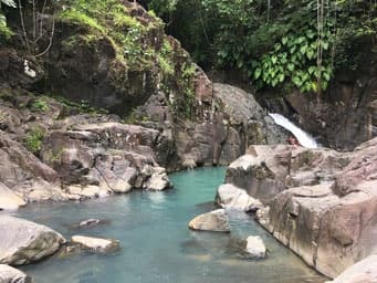 Land Adventure: Pelican Safari Tour in Guadeloupe