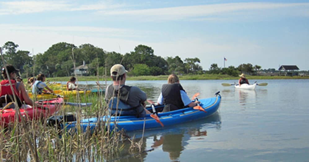 Guided Kayak Tour to Pine Island on Edisto Island, SC