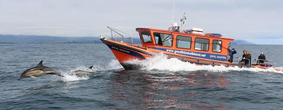 Speed Boat Adventure to Great Blasket Island with Great Blasket Island Experience