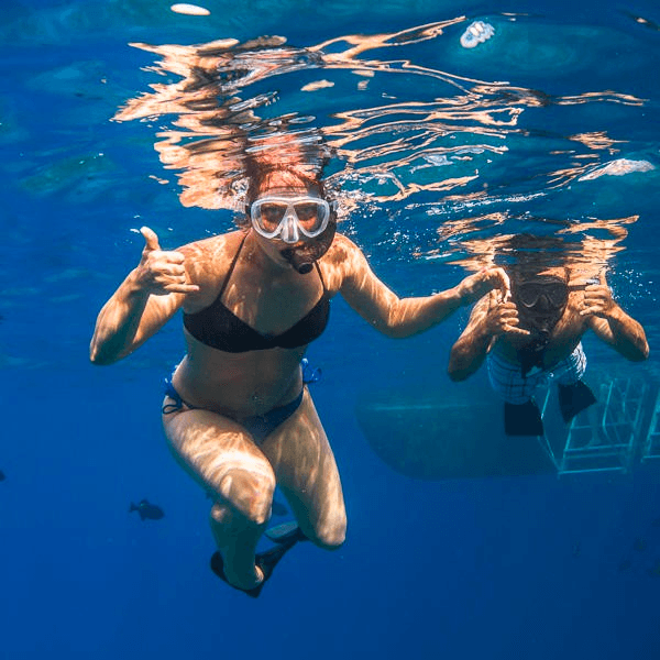 Lanai Snorkel & Dolphin Watch Adventure in Wailuku, HI
