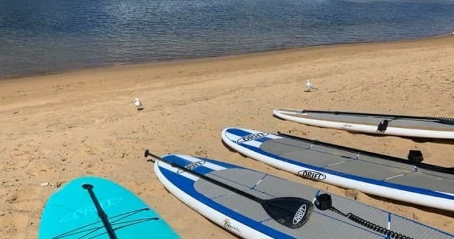 Stand up paddleboards lined on sandy lake beach, calm water