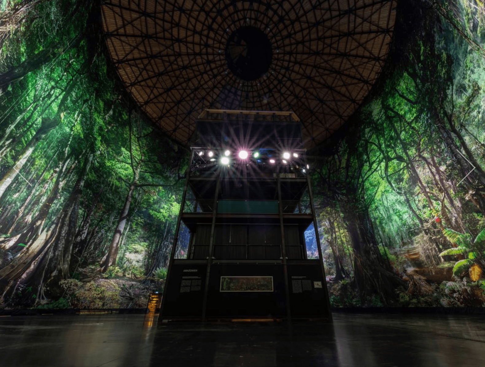 Immersive rainforest projection in gasometer dome, canopy view