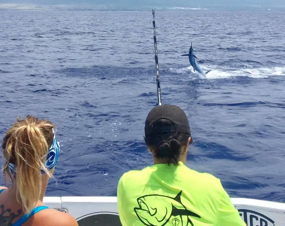 Anglers watching marlin jump during deepsea fishing off Kona