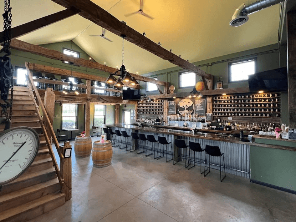 Yoga & Cider at Rootstock: Gentle Sunday Yoga Inside a Working Cidery