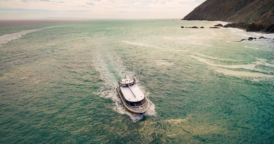 Catalina Adventure Tours team