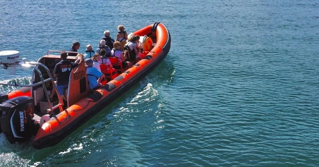 Lundy Island Deep Sea Fishing: 10-Hour Offshore Adventure from Saundersfoot photo 3