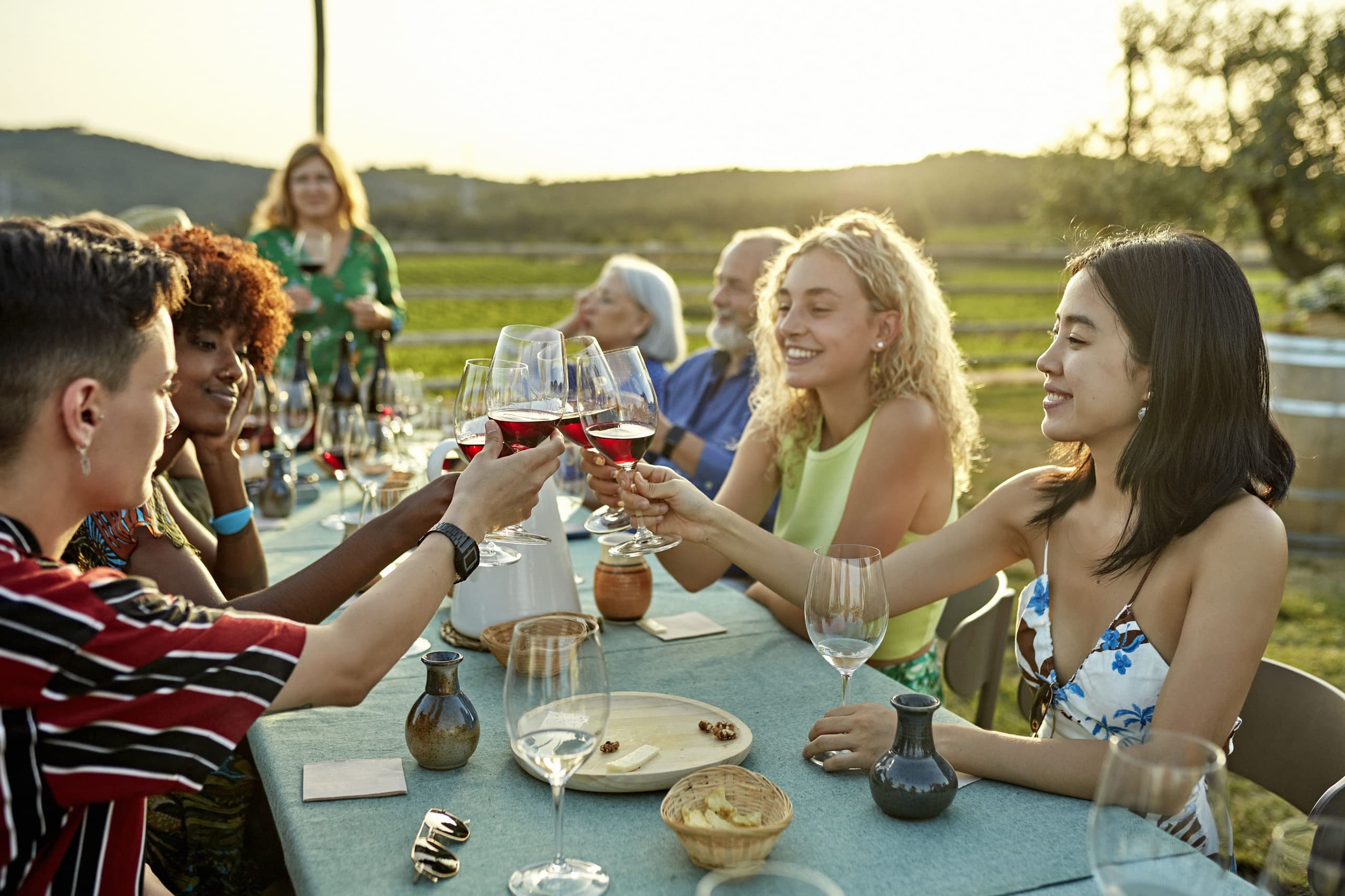 Premium Wine Tasting at Viladellops Vinicola in Olèrdola
