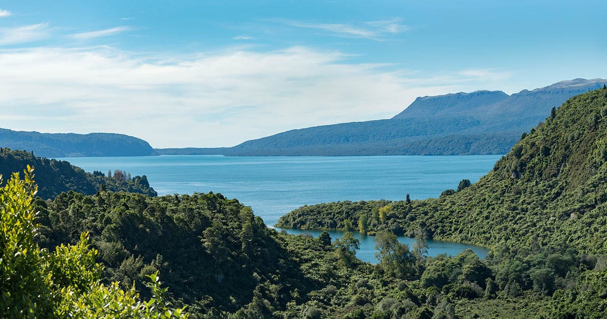 Scenic lake and forest panorama at Rotorua lakes viewpoint