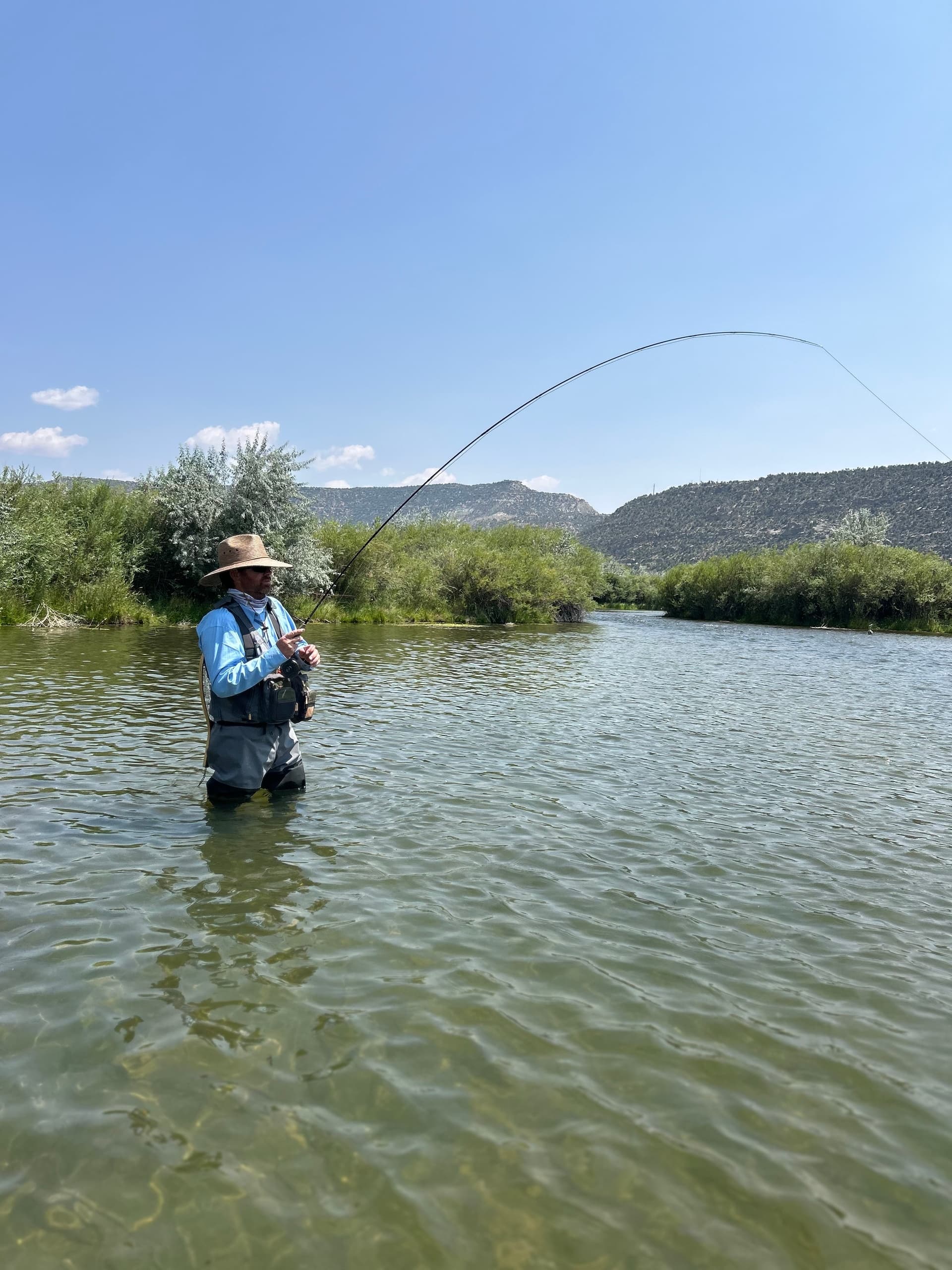 Unforgettable Full-Day Wade Fishing on the San Juan River with Durango Fly Fishing