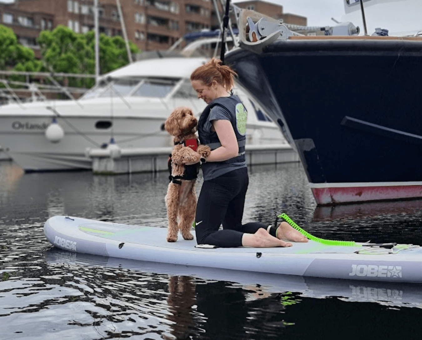 Paddleboarding London: SUP with PUP Dog Paddles