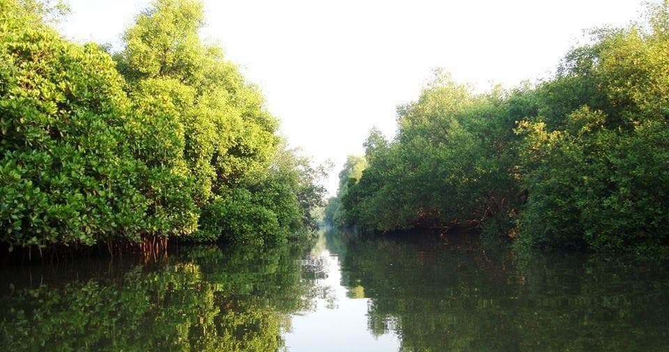Full Day Kayak & Canoe Rental in Prospect, Kentucky