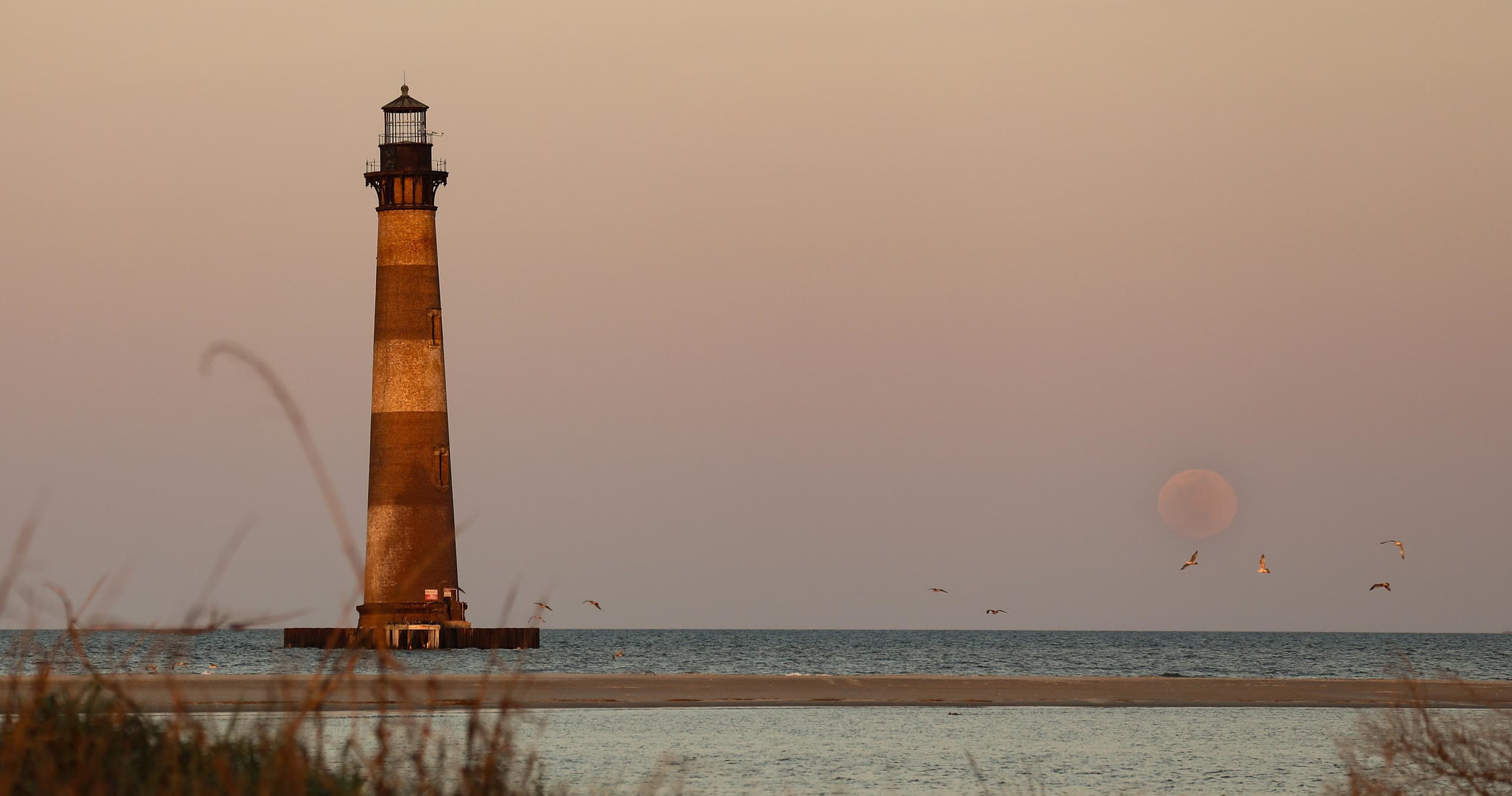 Explore Morris Island: A Self-Guided Beach Adventure Near Folly Beach, SC