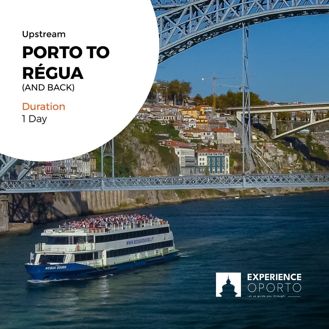 Rota do Douro: Porto to Régua Upstream Cruise — Day trip through the Douro Valley photo 1