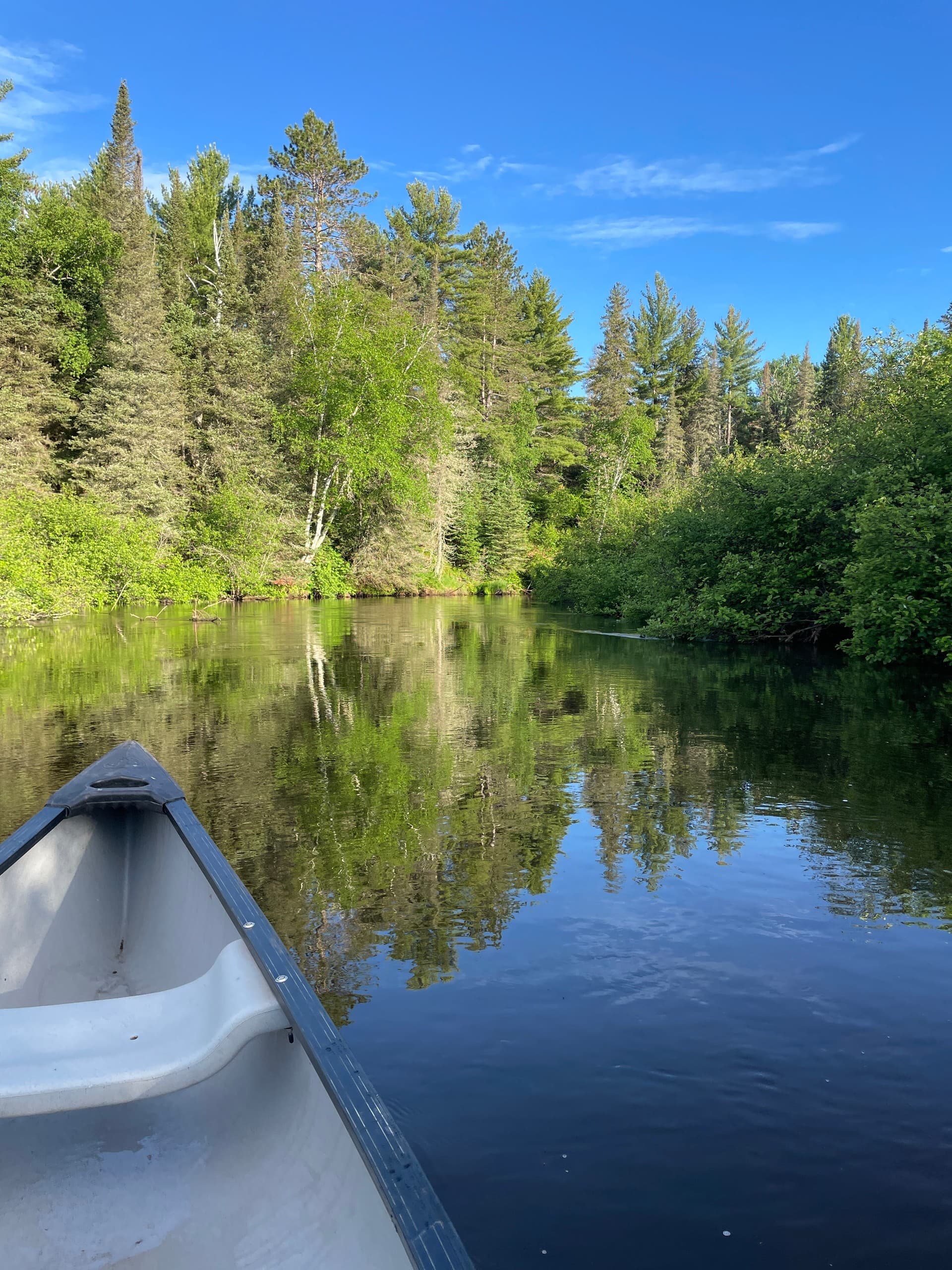 One-Hour Brule River Canoe and Kayak Runs — Winneboujou DNR Shuttle Trips photo 4