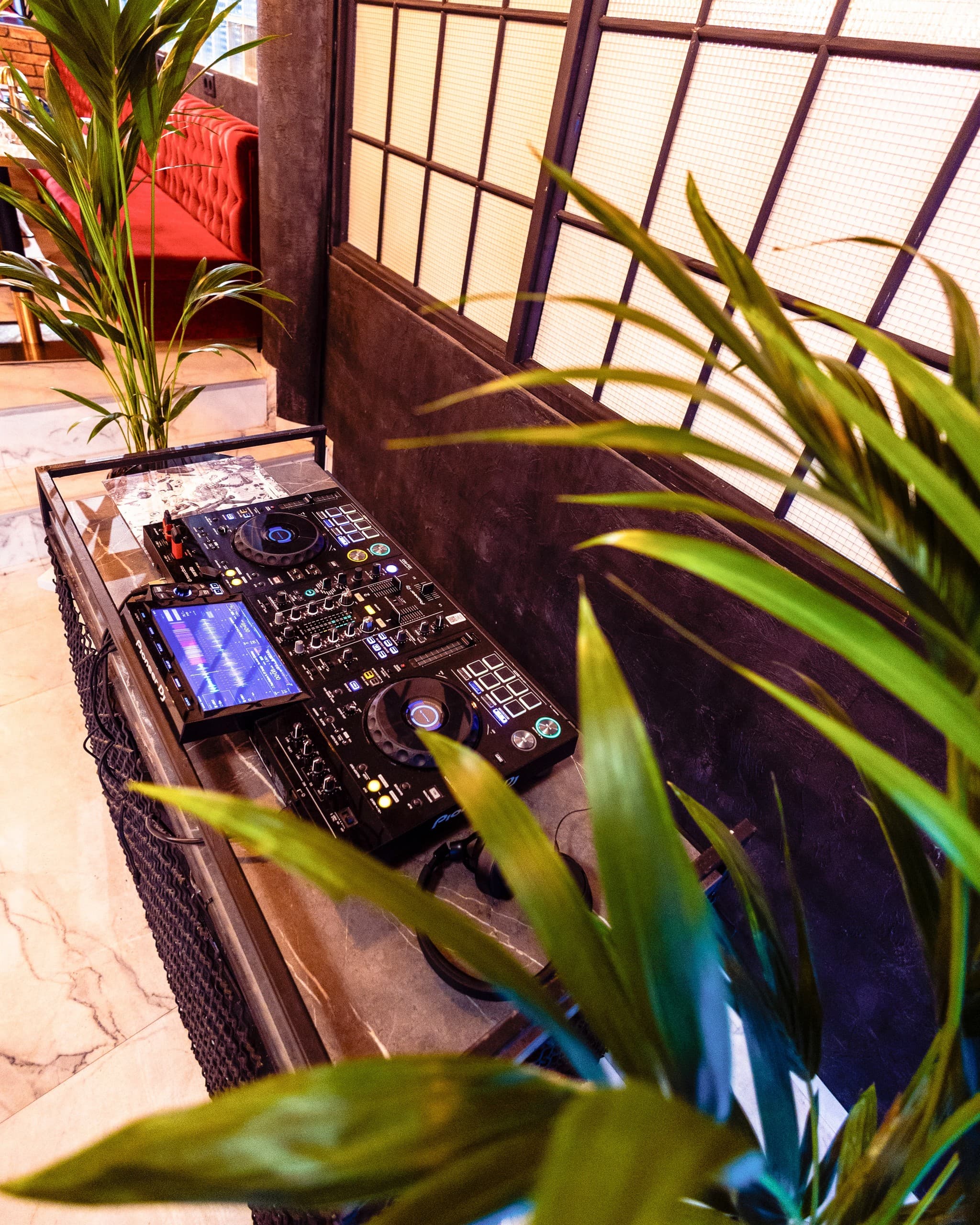 Morning Brunch & Rave in Budapest: Blue Bird’s Two-Hour Coffee and DJ Session photo 1