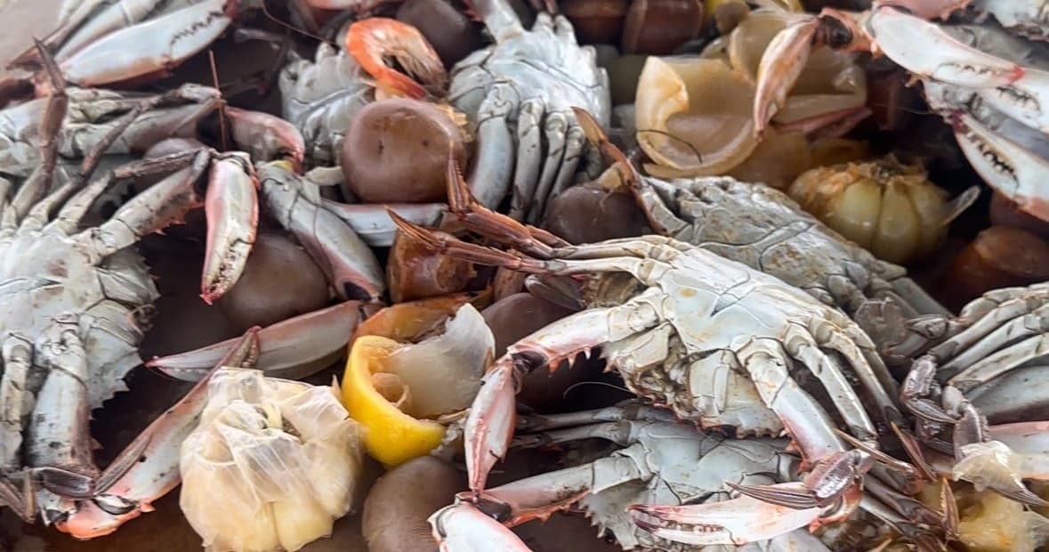 Seafood & Sunset Cruise with New Orleans Pedal Barge