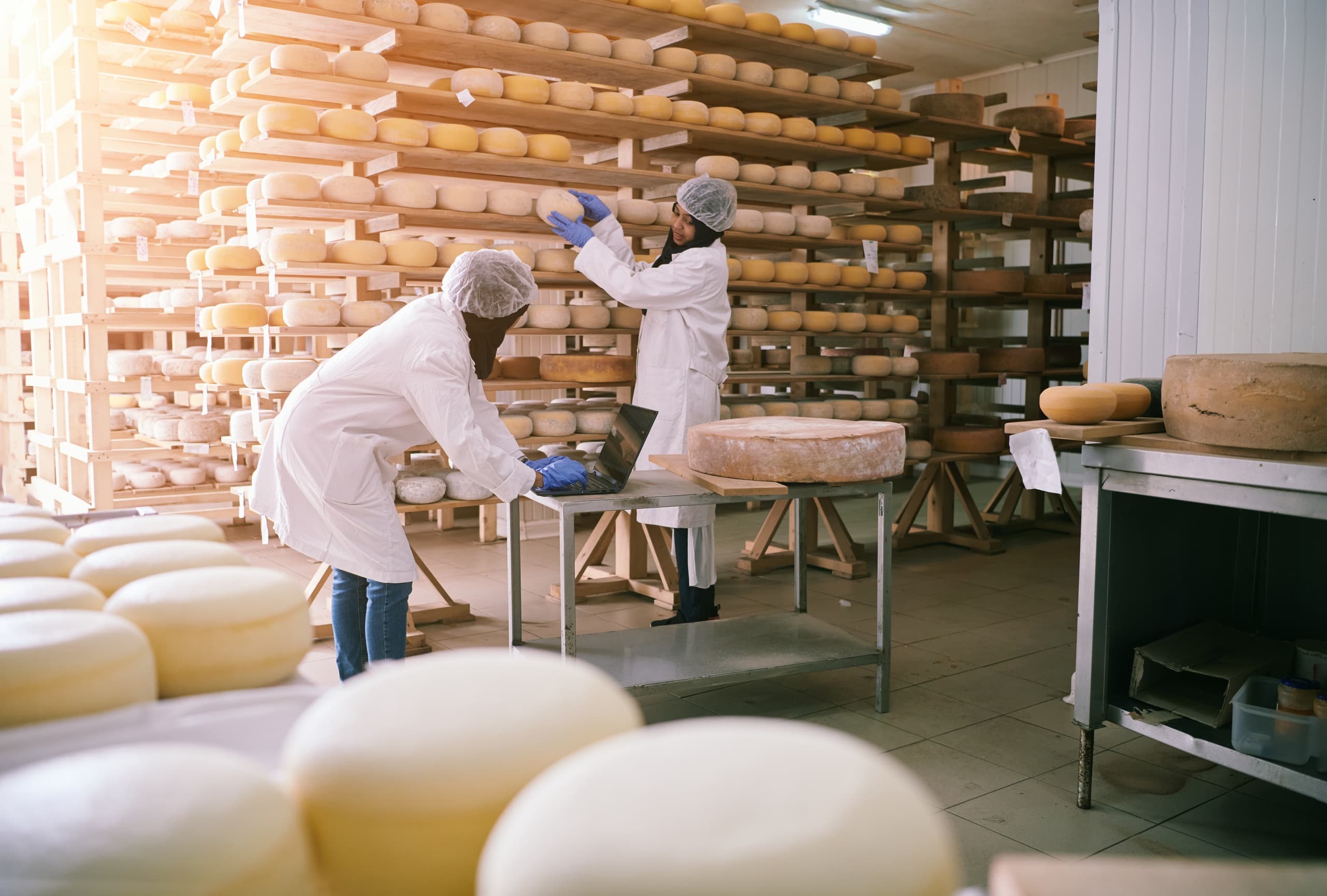 Food & Beverage: Parmigiano Cheese Experience in Italy
