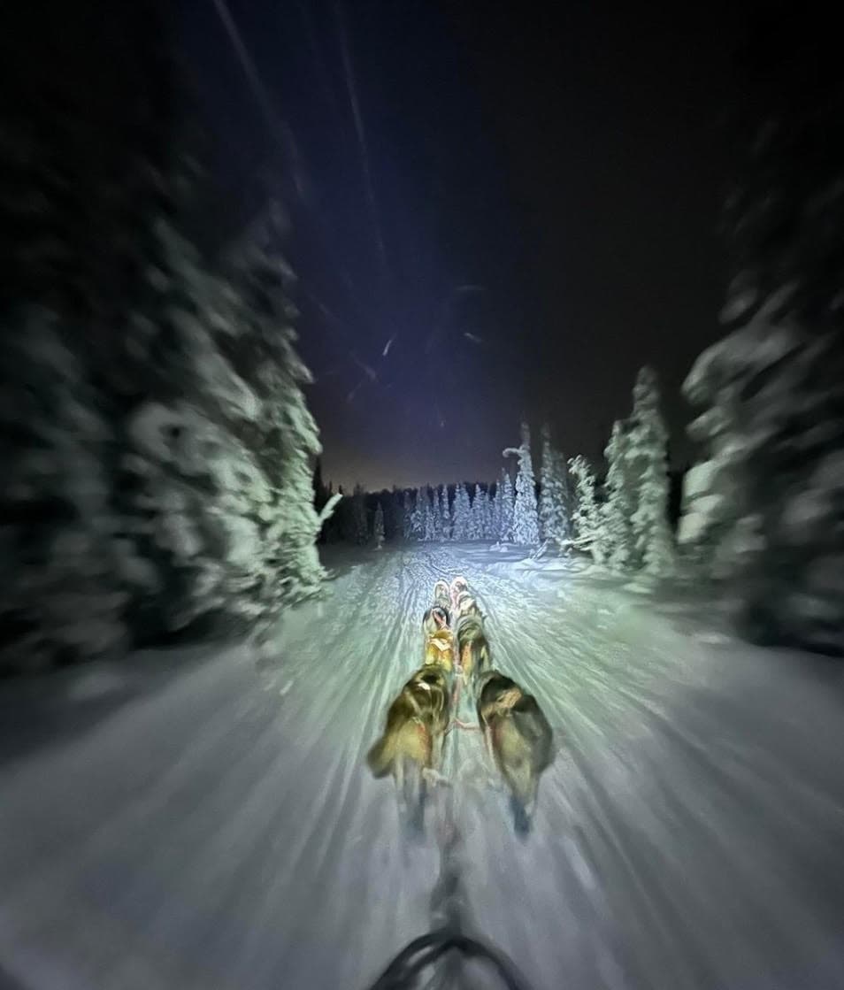 Moonlight Mushing: Snowmobile Adventure in Willow, Alaska
