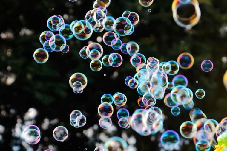 Magical Bubble Bonanza Train Ride in Felton Redwood Forest